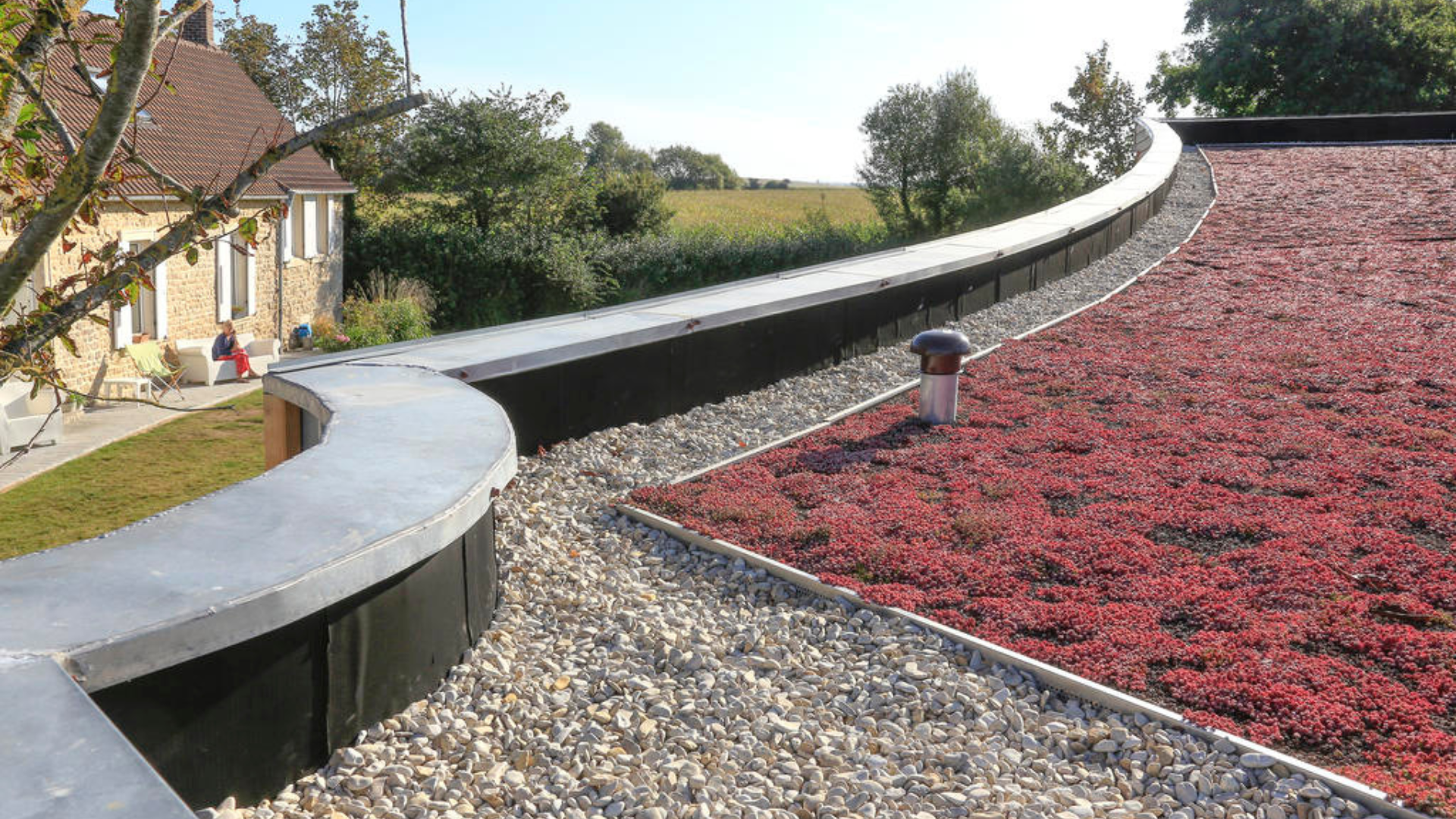 EPDM extensief groendak - toiture verte extensive