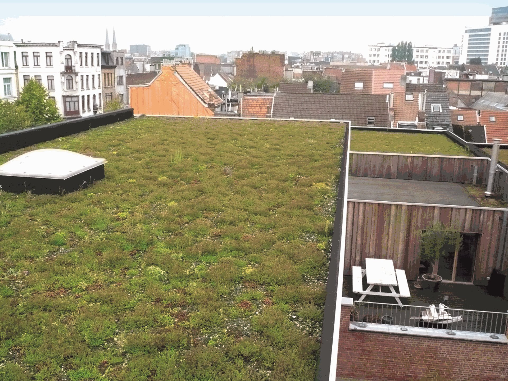 EPDM groendak - toiture verte