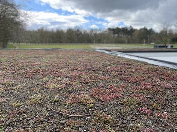 EPDM groendak - toiture verte